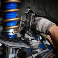Shocks and Struts