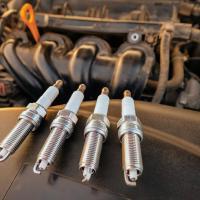 Spark Plugs