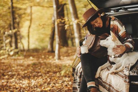 Fall Car Care Maintenance